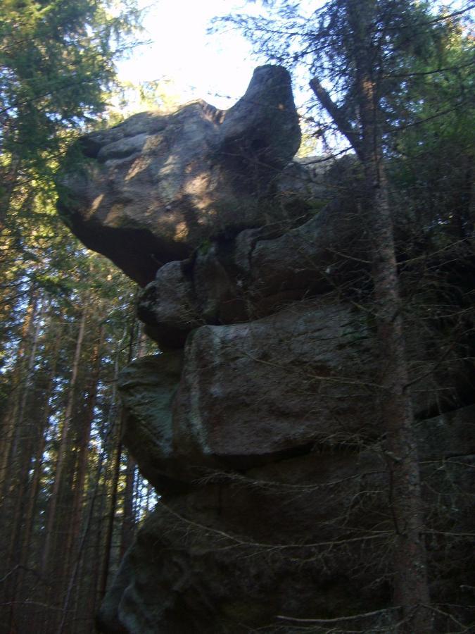 Kemp pod Boubínem Horní Vltavice Exteriér fotografie