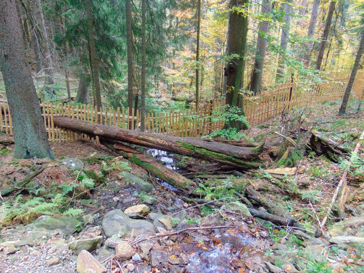 Kemp pod Boubínem Horní Vltavice Exteriér fotografie
