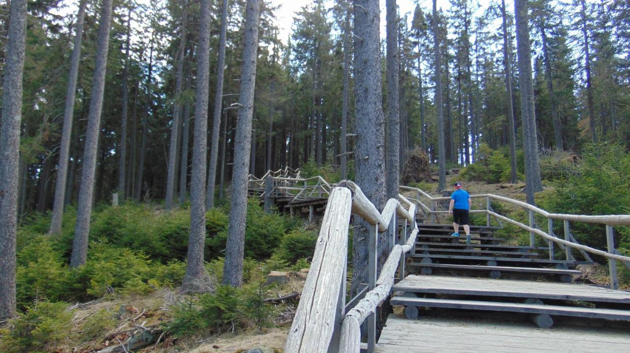 Kemp pod Boubínem Horní Vltavice Exteriér fotografie